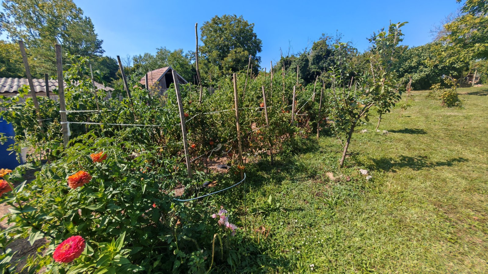 (BAA) Traumanwesen in Ungarn: 180 m² Wohnfläche – ideal für Pferdehaltung und Selbstversorger (AAA) (MW003)