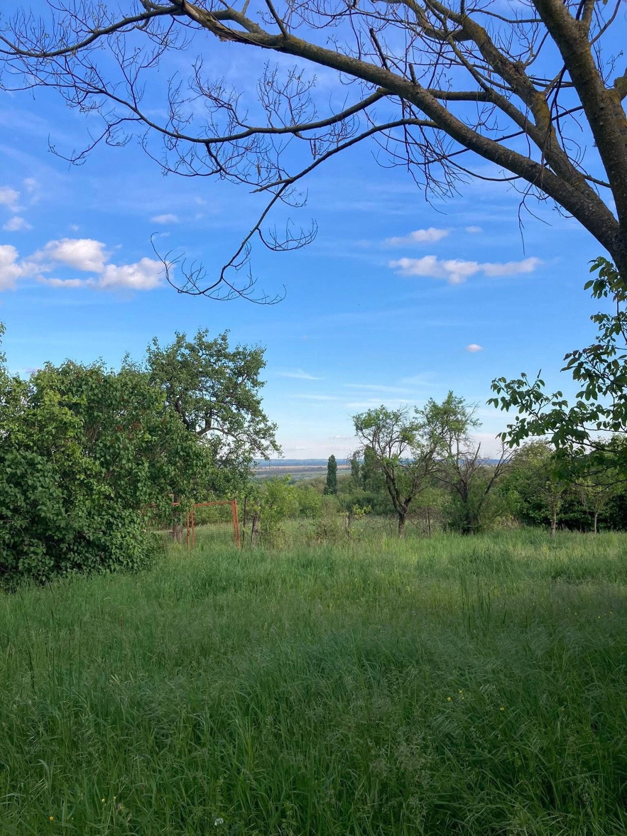 (ACA) Weinberghaus mit Balatonblick &amp; traumhaftem Grundstück bei Héviz (CM133)