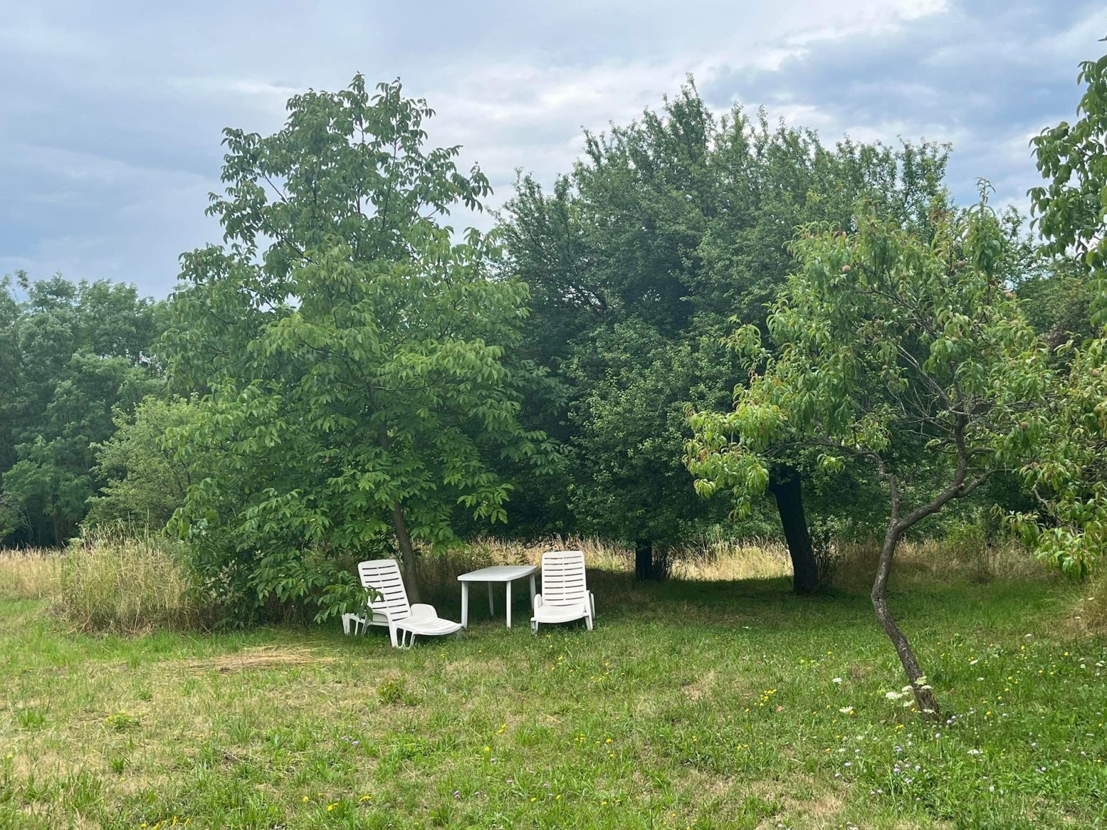 (ACA) Weinberghaus mit Balatonblick & traumhaftem Grundstück bei Héviz (CM133)