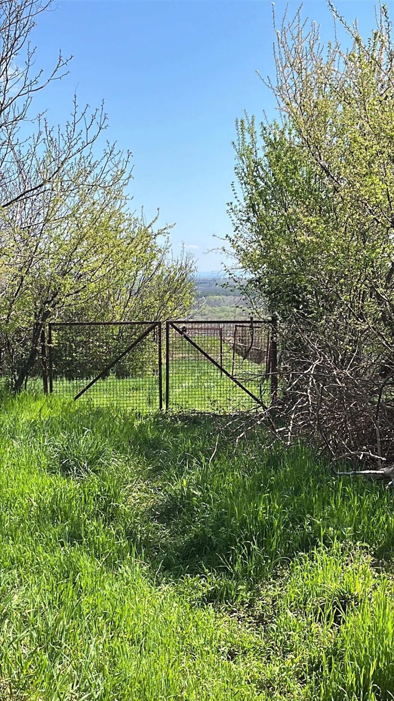 (ACA) Weinberghaus mit Balatonblick &amp; traumhaftem Grundstück bei Héviz (CM133)