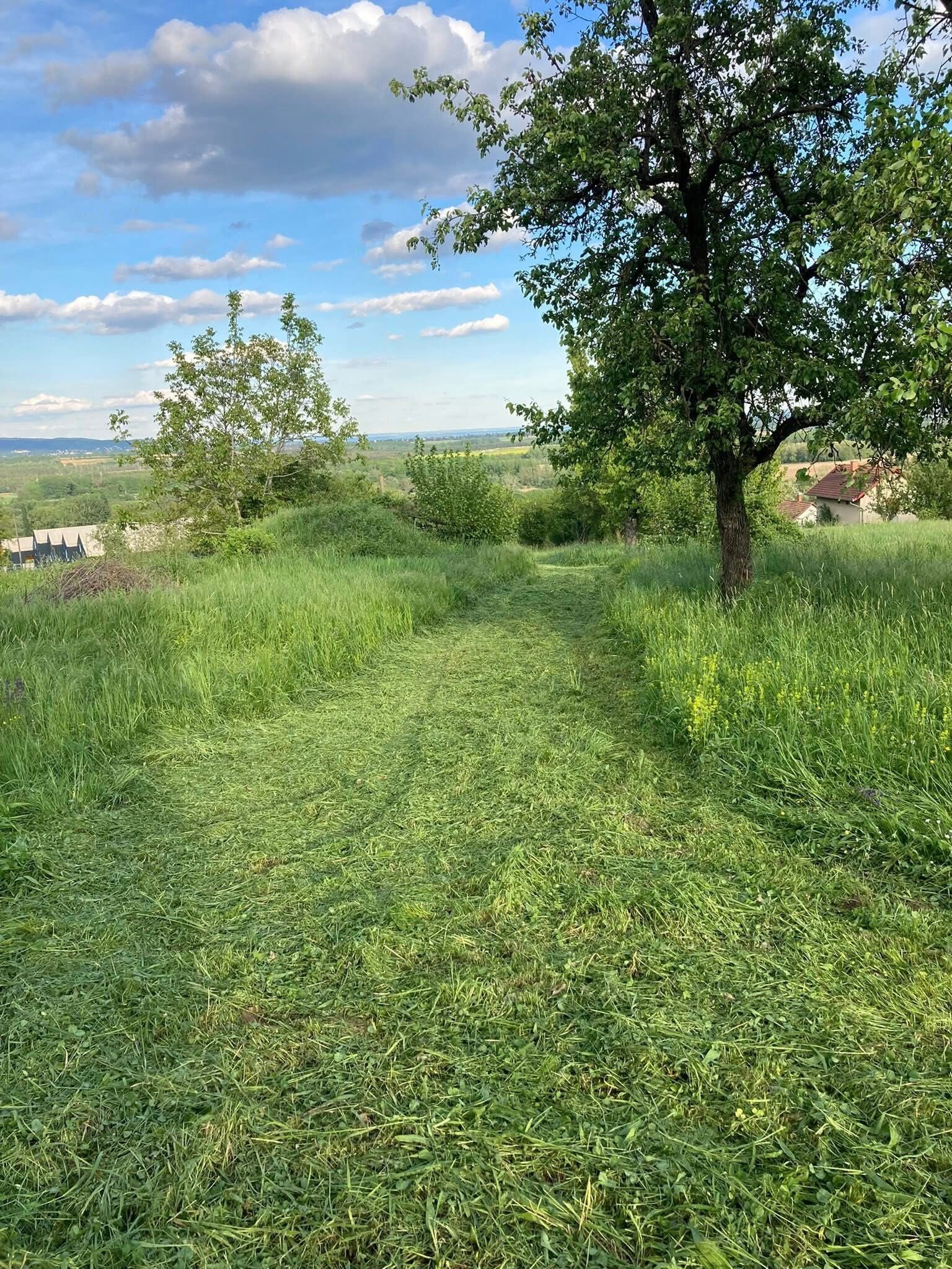 (ACA) Weinberghaus mit Balatonblick & traumhaftem Grundstück bei Héviz (CM133)