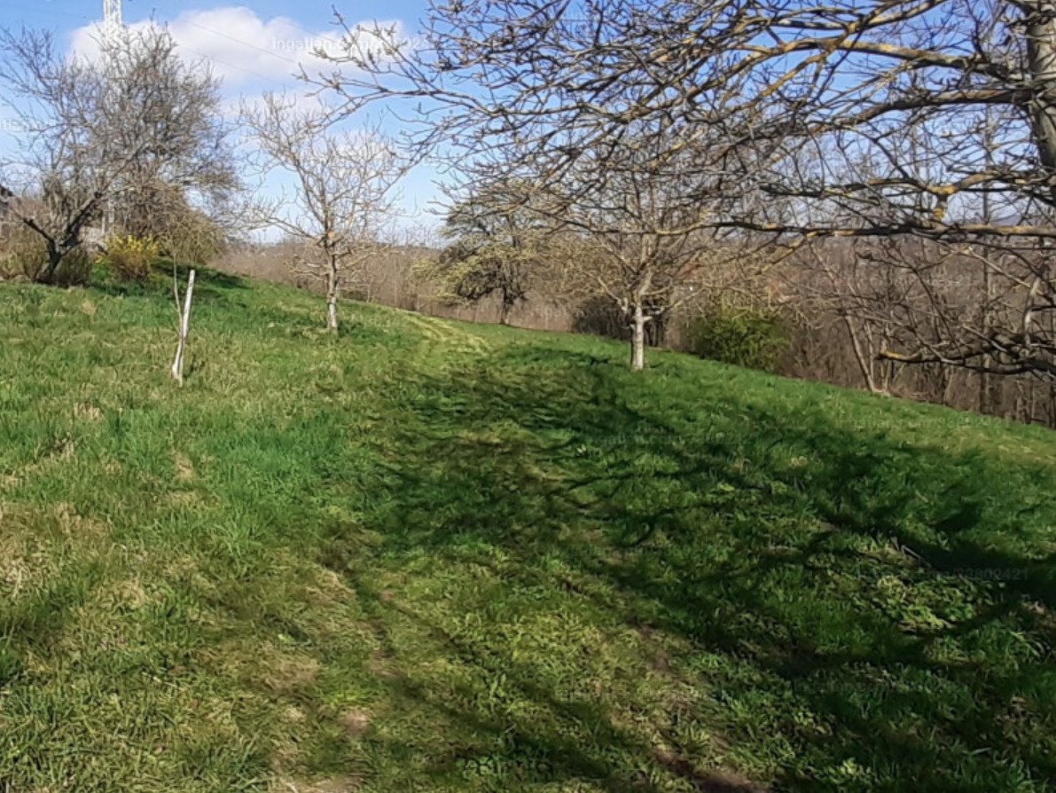 Großes Grundstück mit Fernblick be Héviz, ein tolles Investment (A-A) (IN33802421)