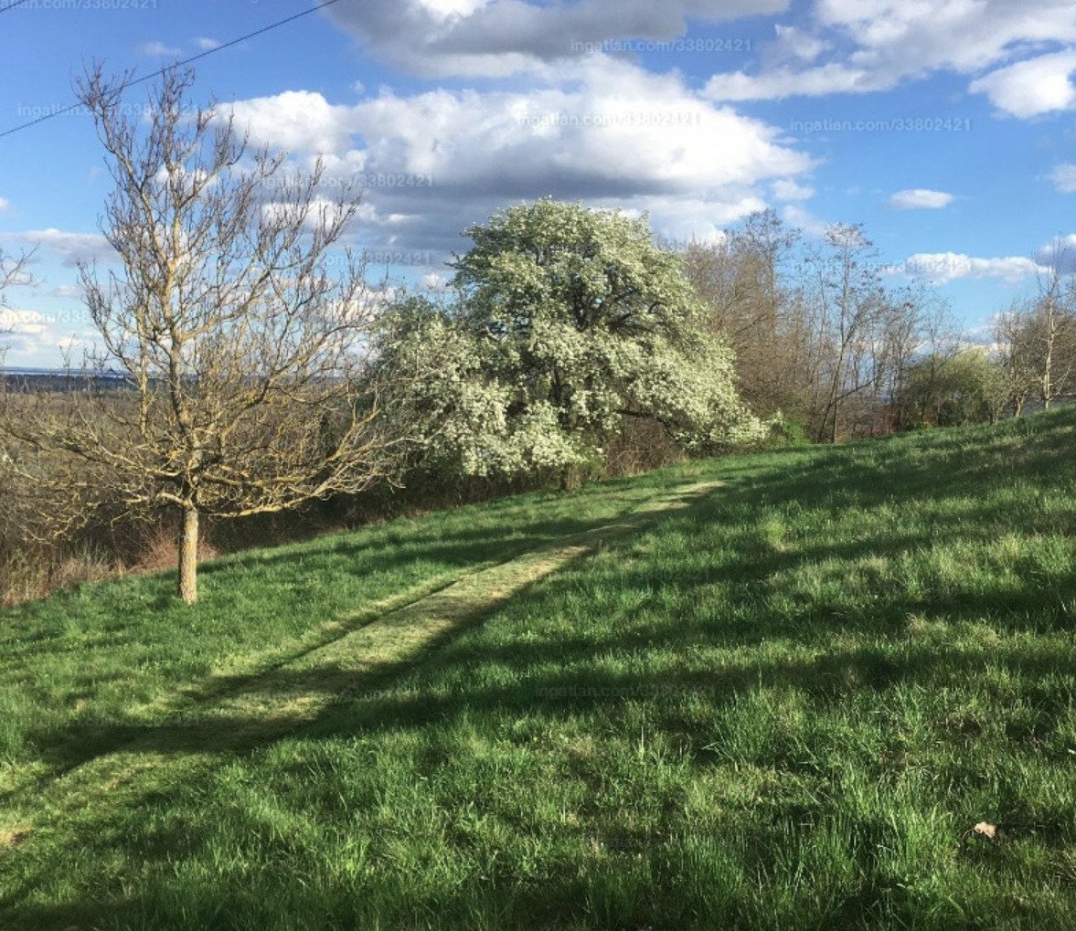 Großes Grundstück mit Fernblick be Héviz, ein tolles Investment (A-A) (IN33802421)
