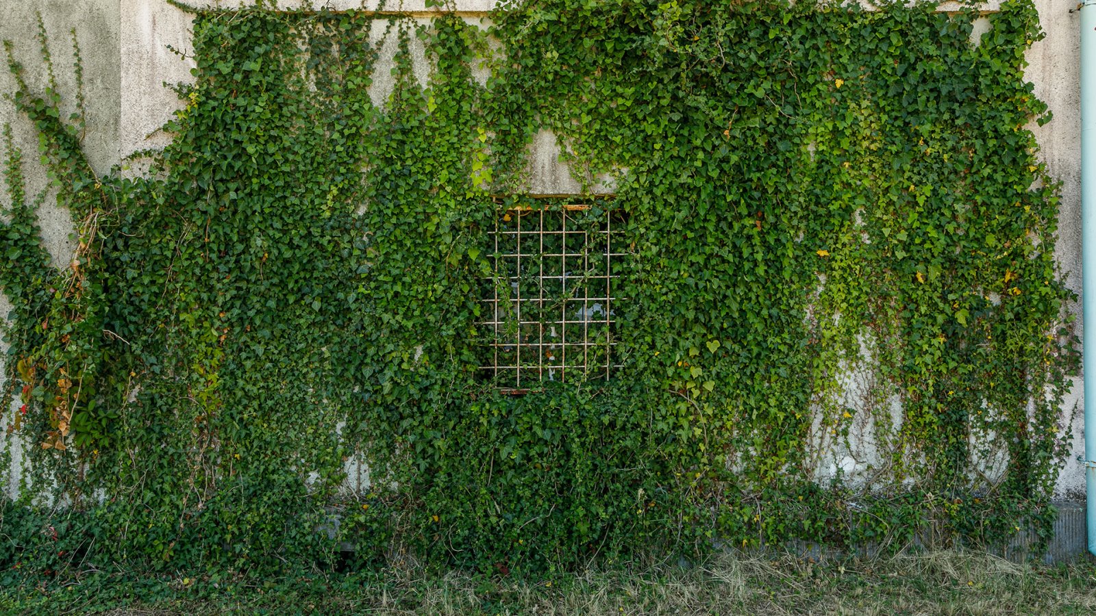 (ACA) Historische Villa am Rande des Balaton möchte aus dem Dornröschenschlaf erweckt werden (44073)