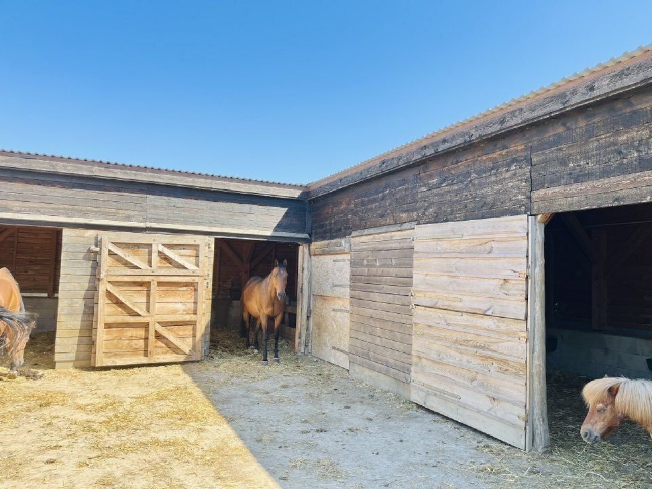 (AAA) Sehr gepflegtes Landhaus &amp; Pferdehaltung möglich (CM242)