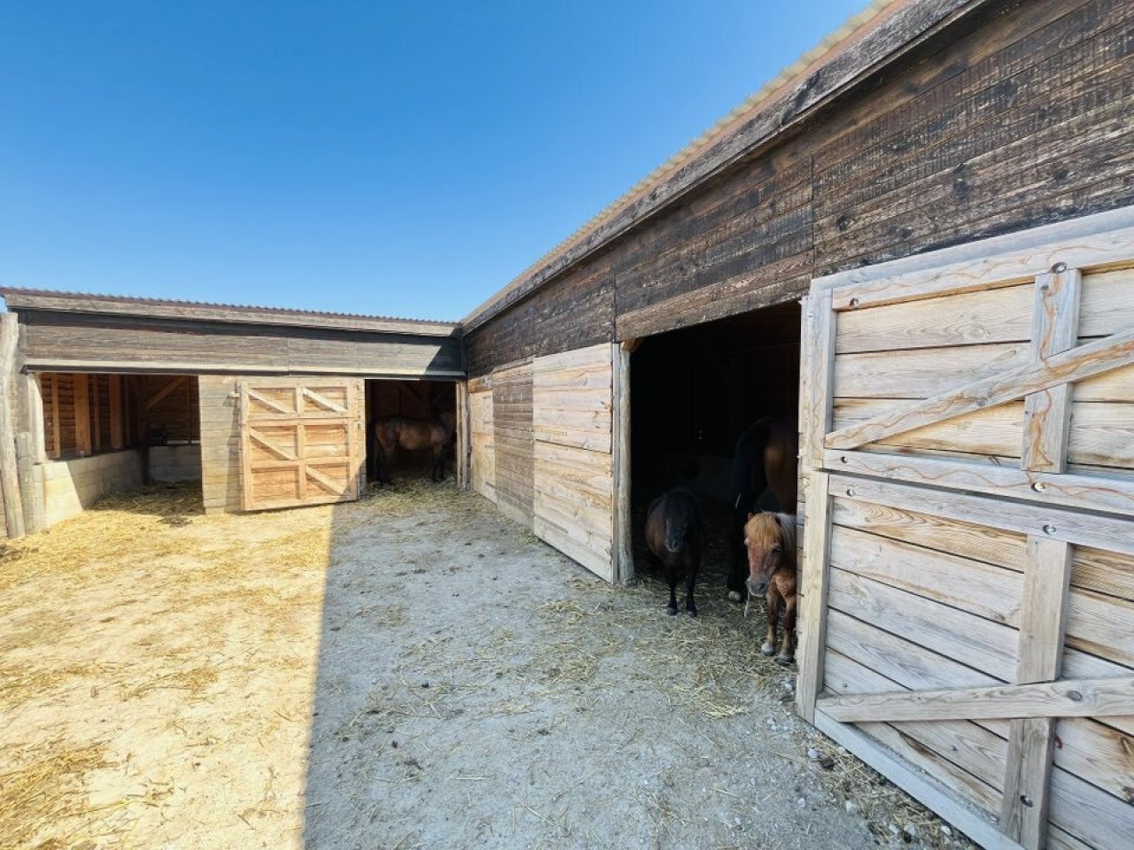 (AAA) Sehr gepflegtes Landhaus &amp; Pferdehaltung möglich (CM242)