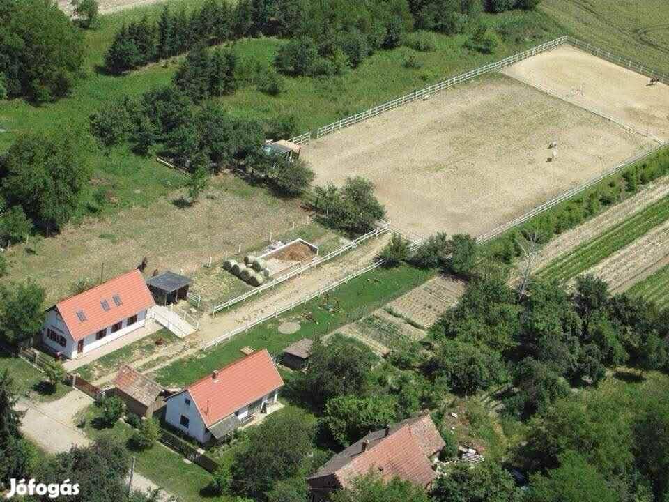 (BBA) Sehr gepflegtes Einfamilienhaus & Pferdehaltung möglich bei Nagyatád