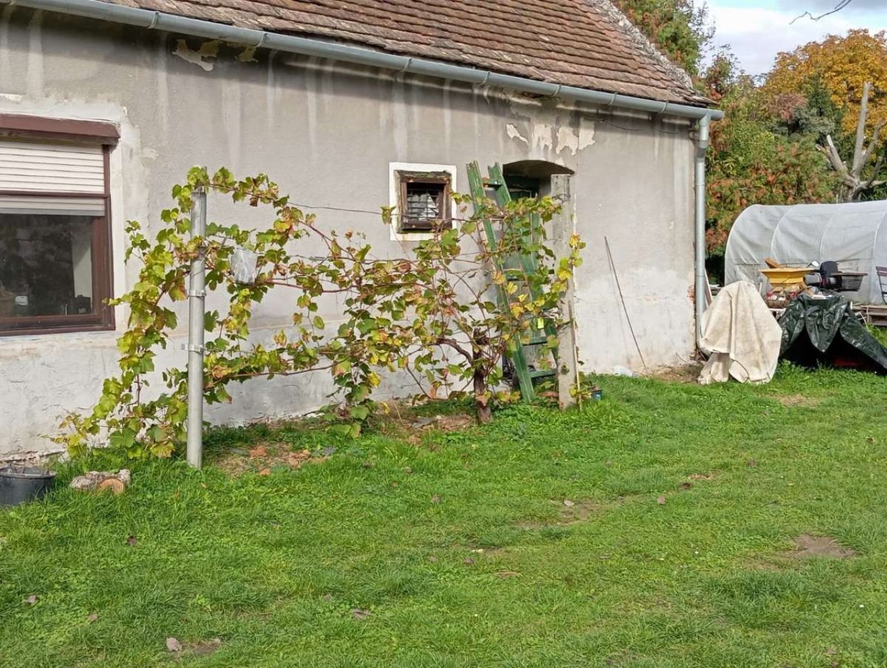 (CAA) Teilsaniertes  Einfamilienhaus Nähe Österreich (WH2091)