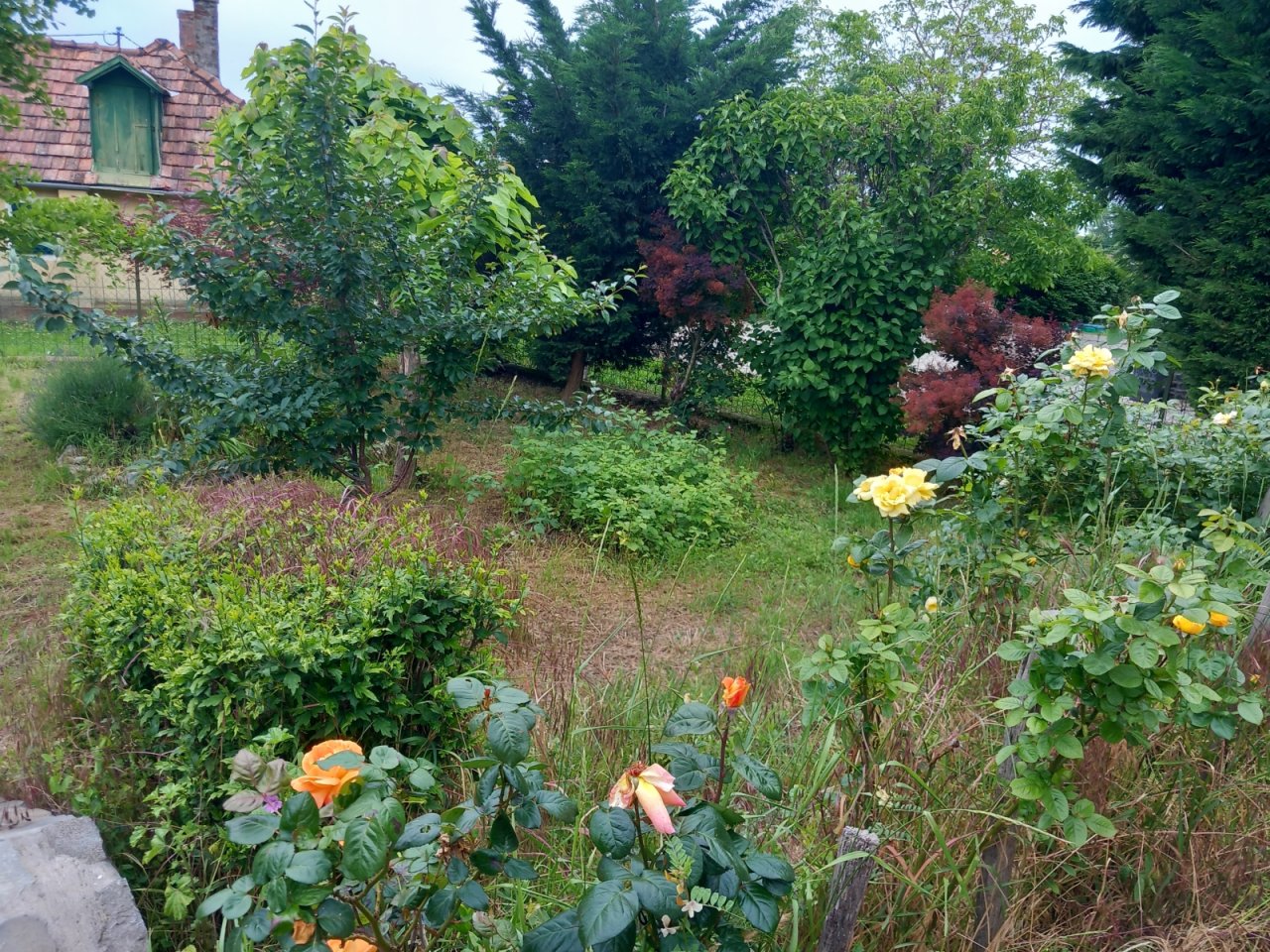 (AAA) Einzigartiges Panorama-Anwesen am Nordufer (KK015)