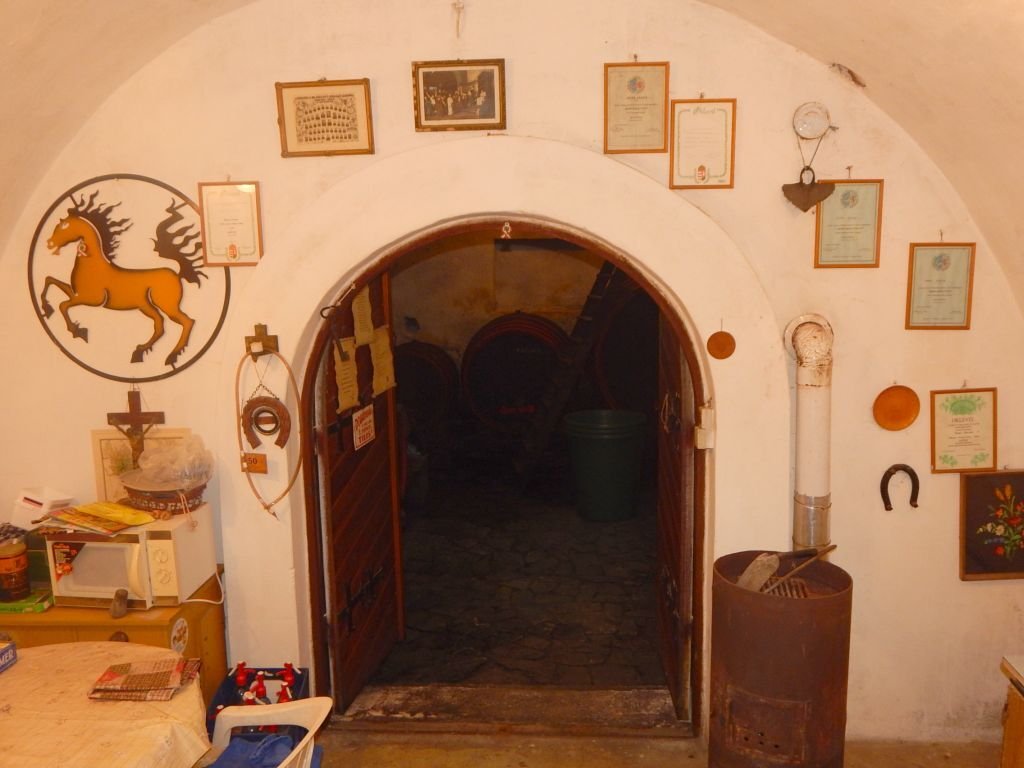 (ABA) Idealer Rückzugsort in Ungarn: Weinberghaus mit Panoramablick (EH001)