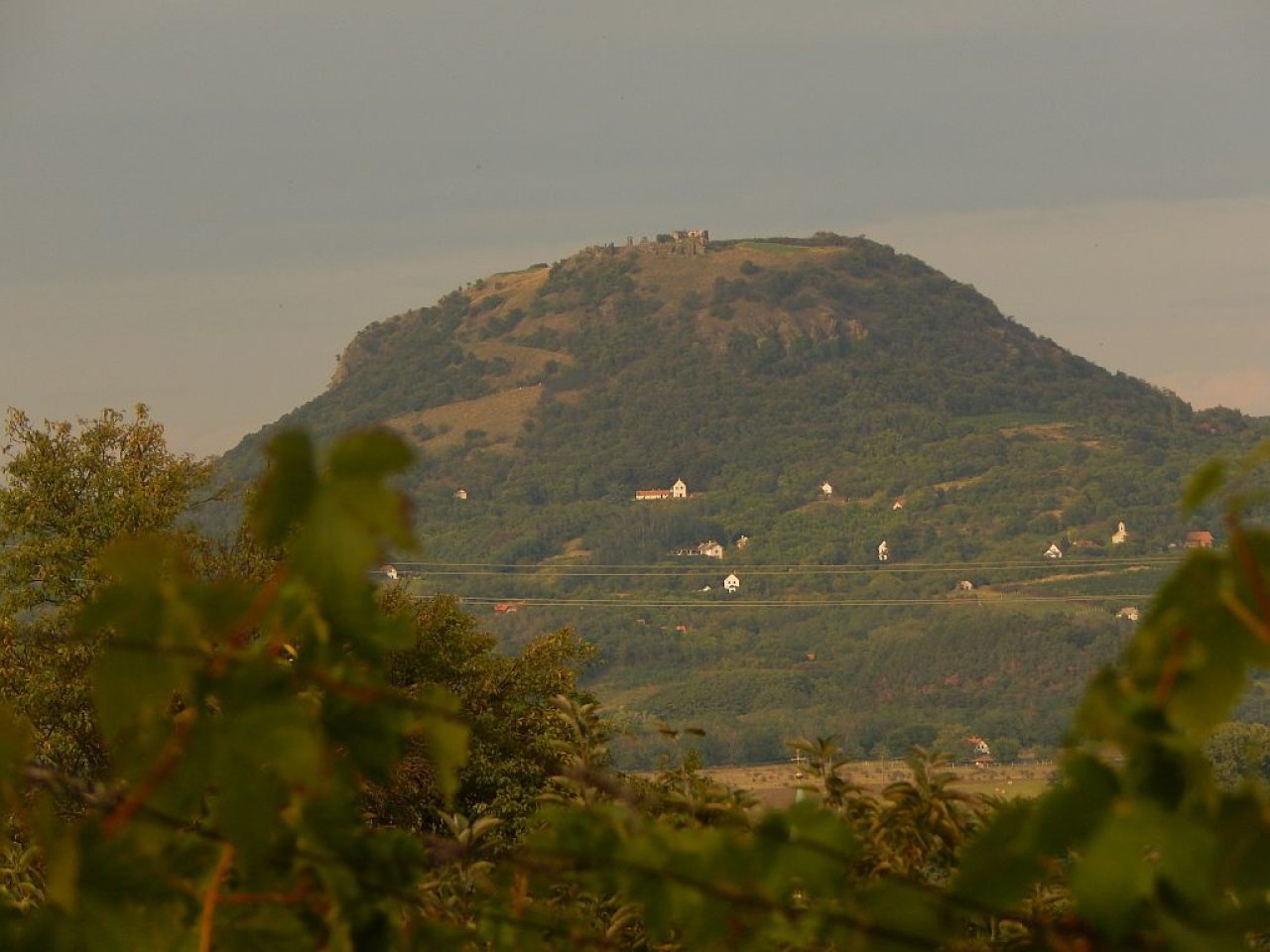 (ABA) Idealer Rückzugsort in Ungarn: Weinberghaus mit Panoramablick (EH001)