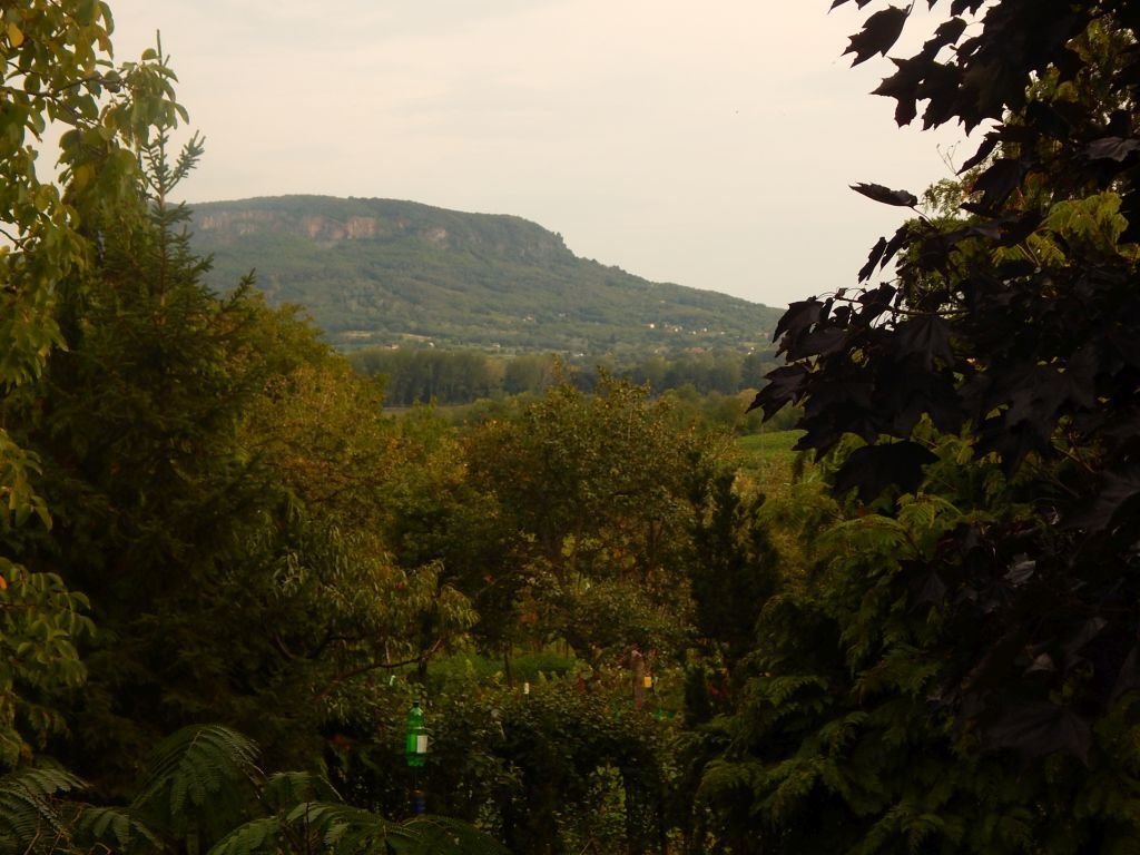 (ABA) Idealer Rückzugsort in Ungarn: Weinberghaus mit Panoramablick (EH001)