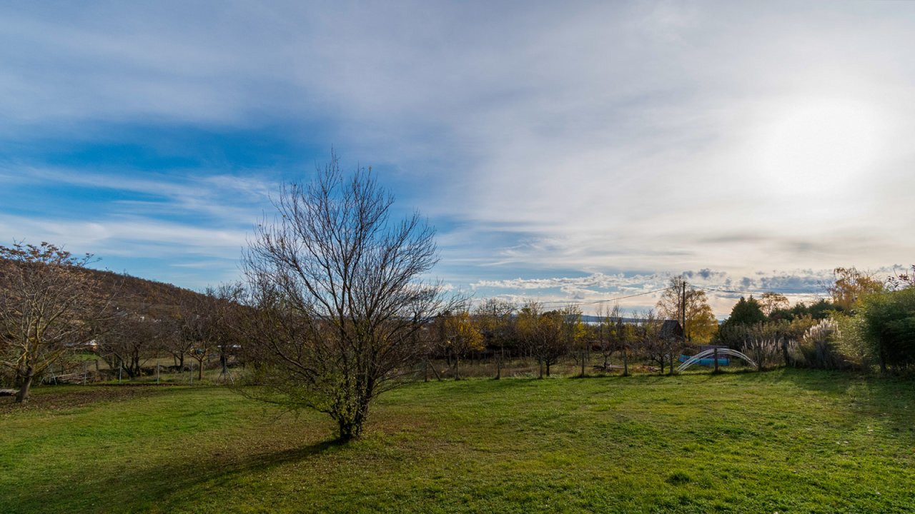 (AAA) Solides, helles Apartmenthaus in sehr guter Lage (33772-2)