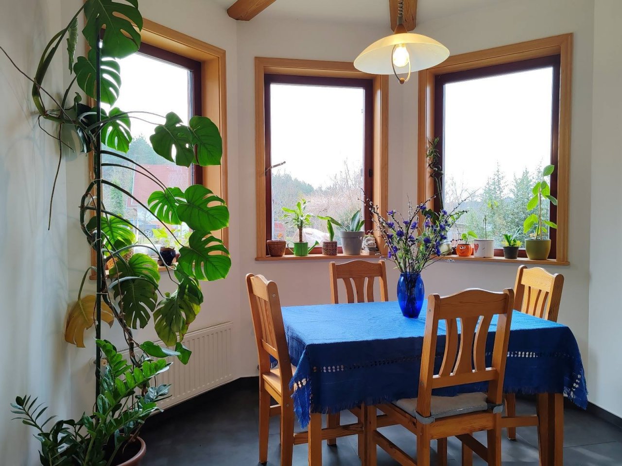 (AAA) Gepflegtes Familienhaus mit Panoramablick Nähe Österreich (RV024)