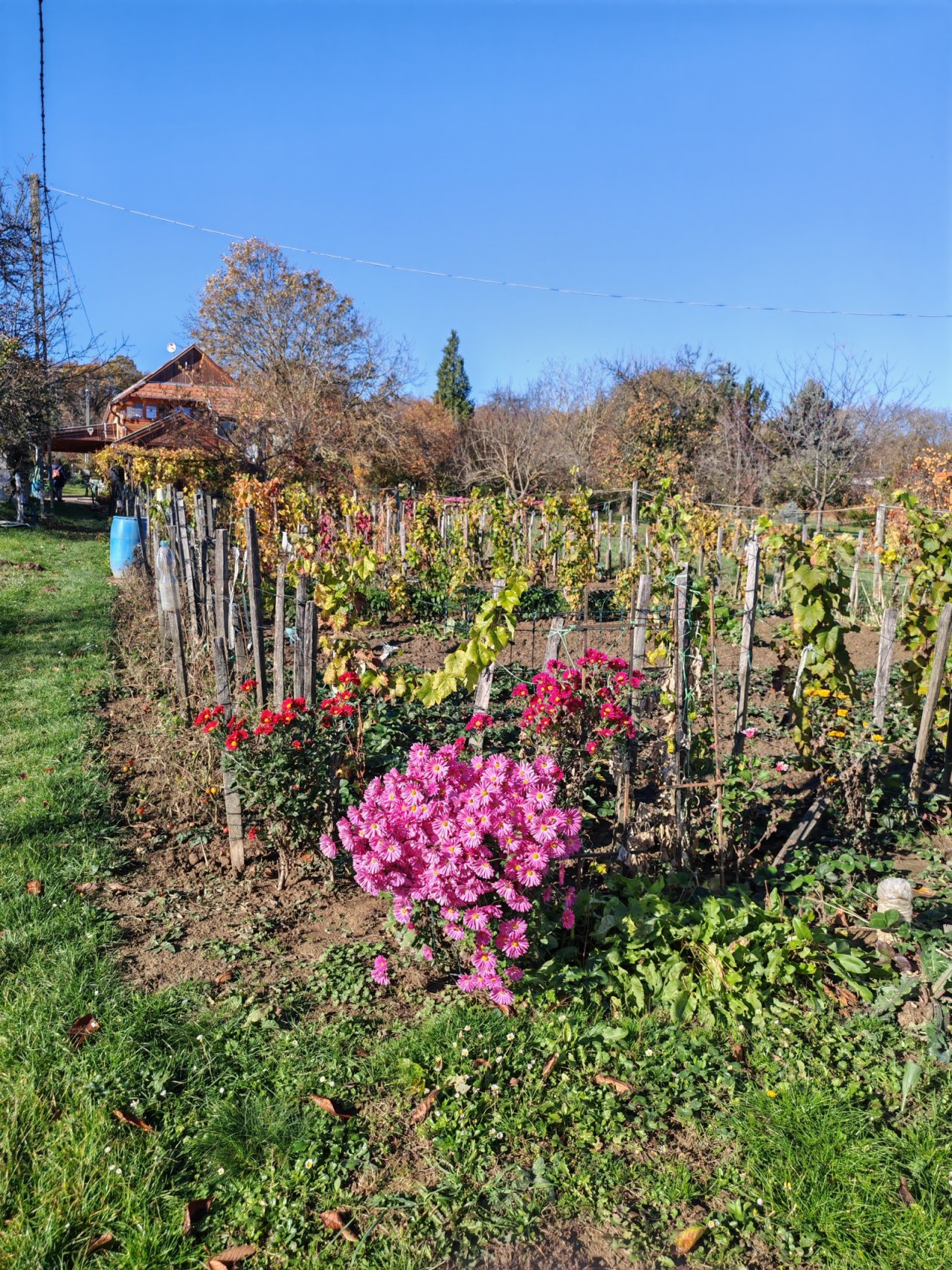 (ABA) Kleines Haus in ruhiger Panoramalage oberhalb von Héviz (KK018)