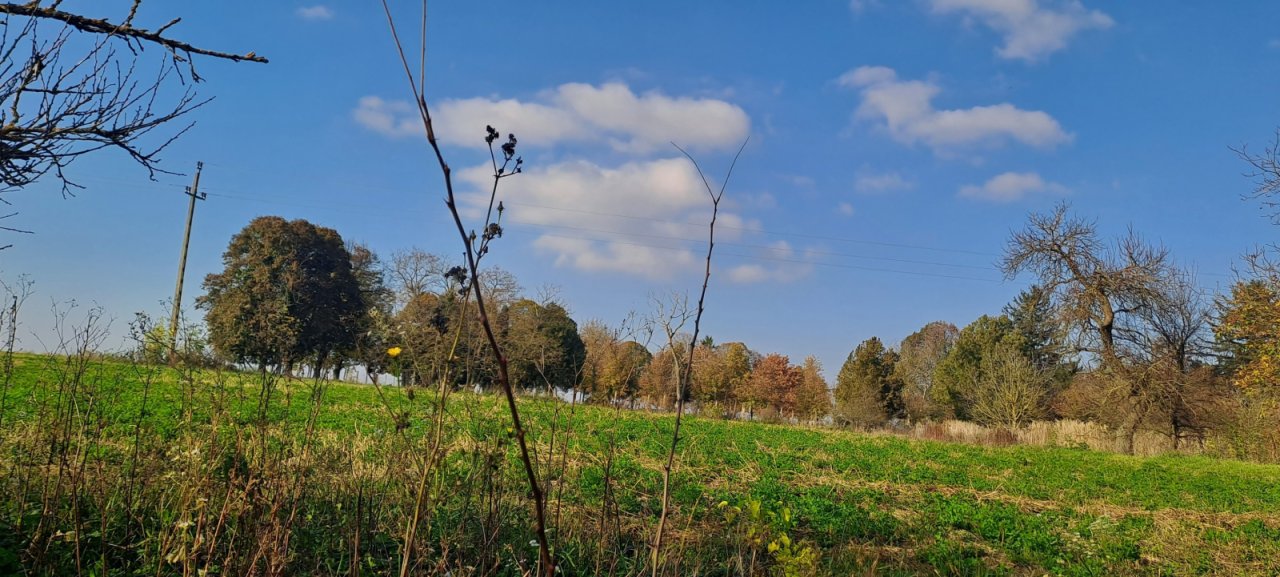 (CAA) Einfamilienhaus mit viel Platz und ländlicher Ruhe (KK027)