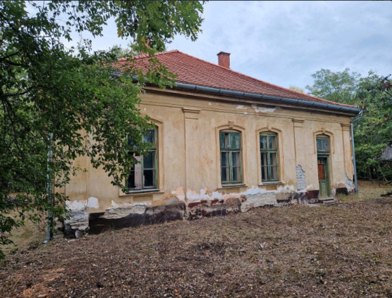 (ACA) Altes Schulhaus im Jugendstil mit viel Potential (ROG08)