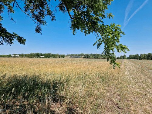 (ACA) Gut erhaltenes Bauernhaus im Orginalzustand und viel Grund (ROG09)