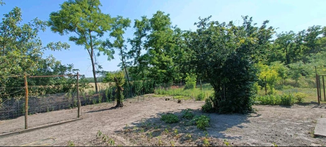 (ABA) Renoviertes Bauernhaus in Südungarn (ROG13)