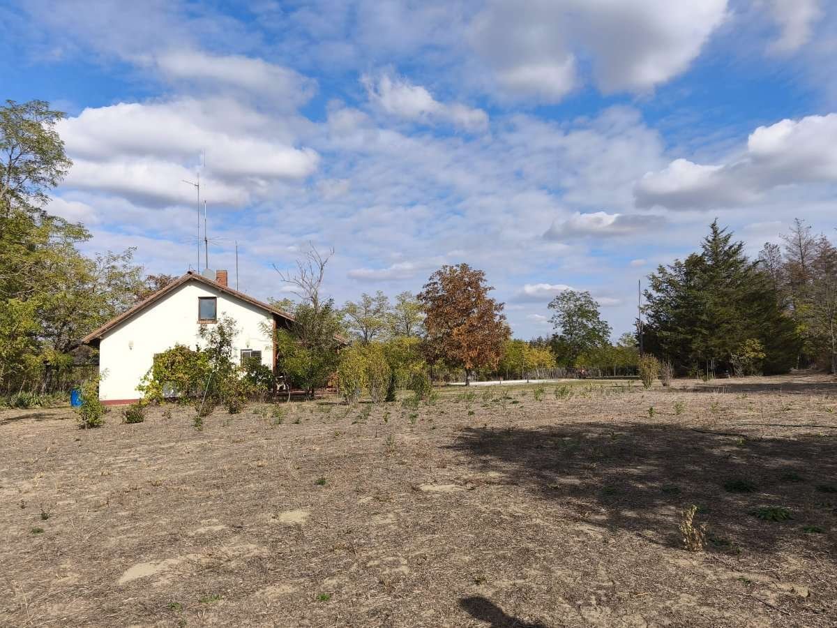 (AAA) Ein tolle Gelegenheit für Eigenbrödler: Bauernhaus in der Nähe von Kiskunhalas (ROG01)