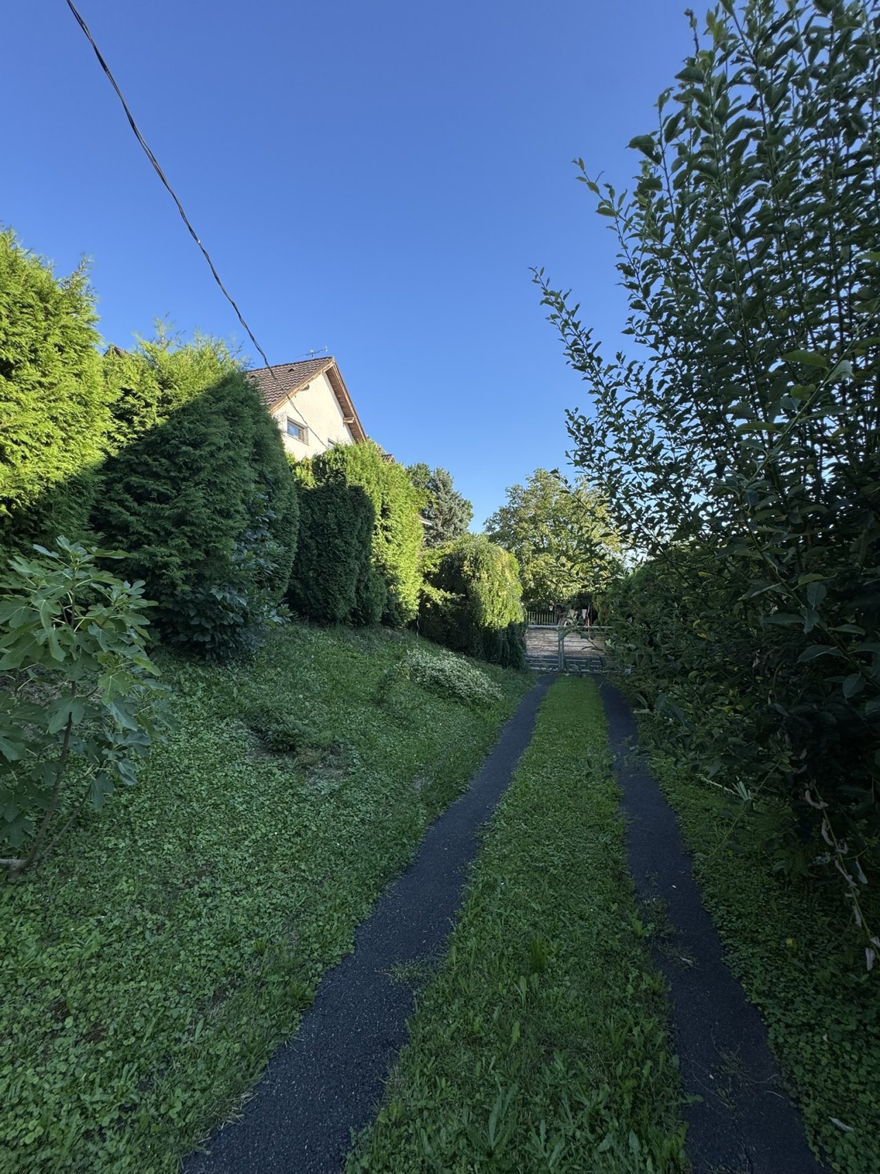 (BAA) Zweigenerationen-Familienhaus Nähe Österreich (IMM512)