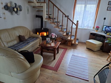 (AAA) Zweigenerationenhaus + Studio-Apartment Nähe Österreich (IMM523)