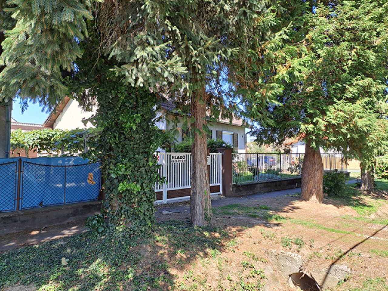 (AAA) Zweigenerationenhaus + Studio-Apartment Nähe Österreich (IMM523)