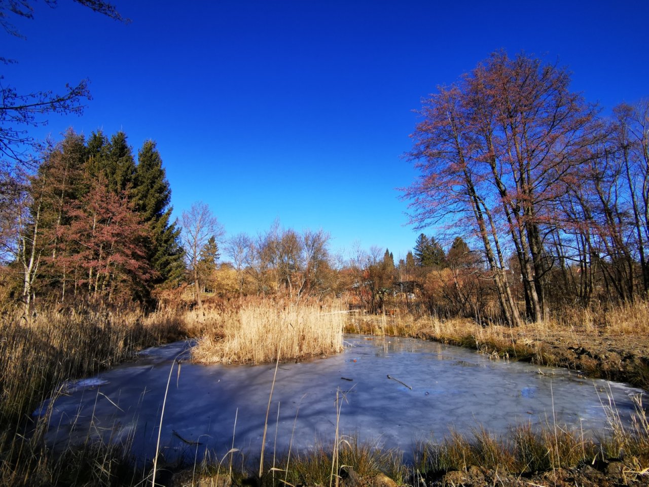 (AAA) Landhaus in wunderschöner Naturlandschaft im Nationalpark Őrség (IMM503)