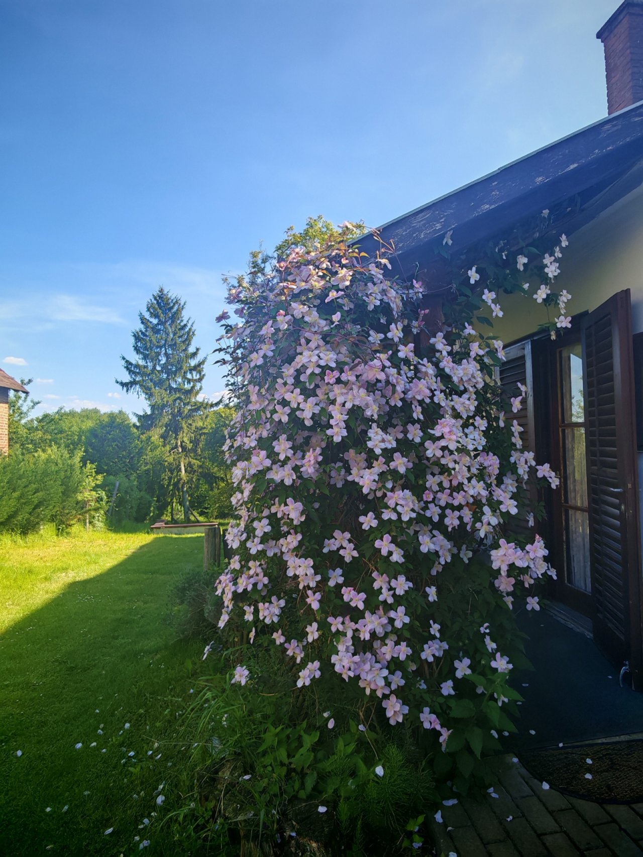 (AAA) Landhaus in wunderschöner Naturlandschaft im Nationalpark Őrség (IMM503)