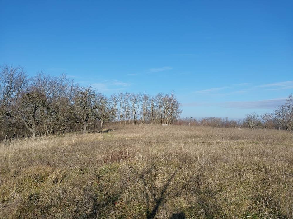 (A--) Umzäuntes Gartengrundstück