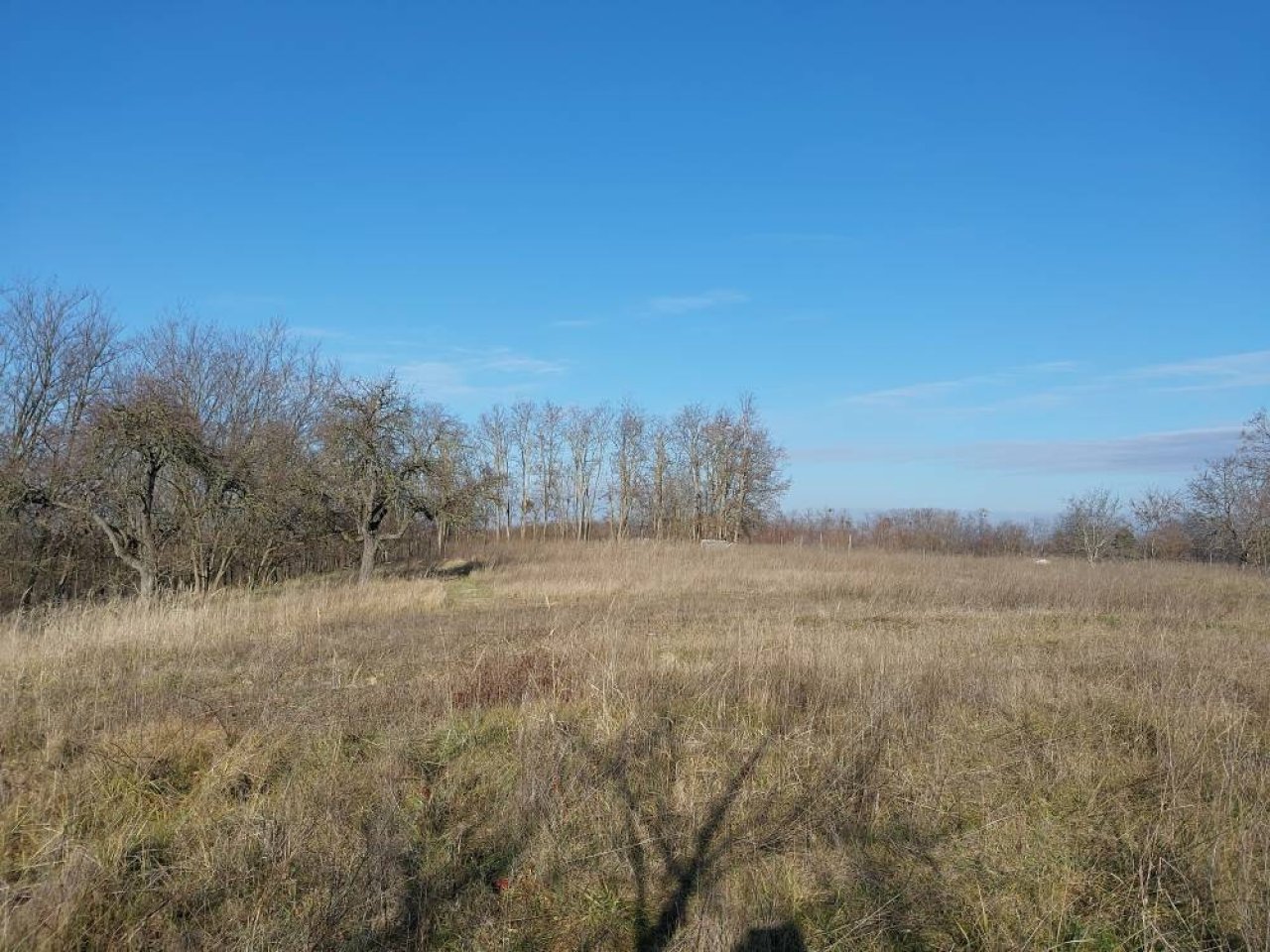 (A--) Umzäuntes Gartengrundstück (BKM010)