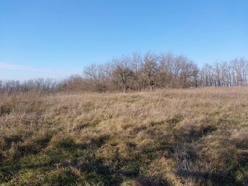 (A--) Umzäuntes Gartengrundstück