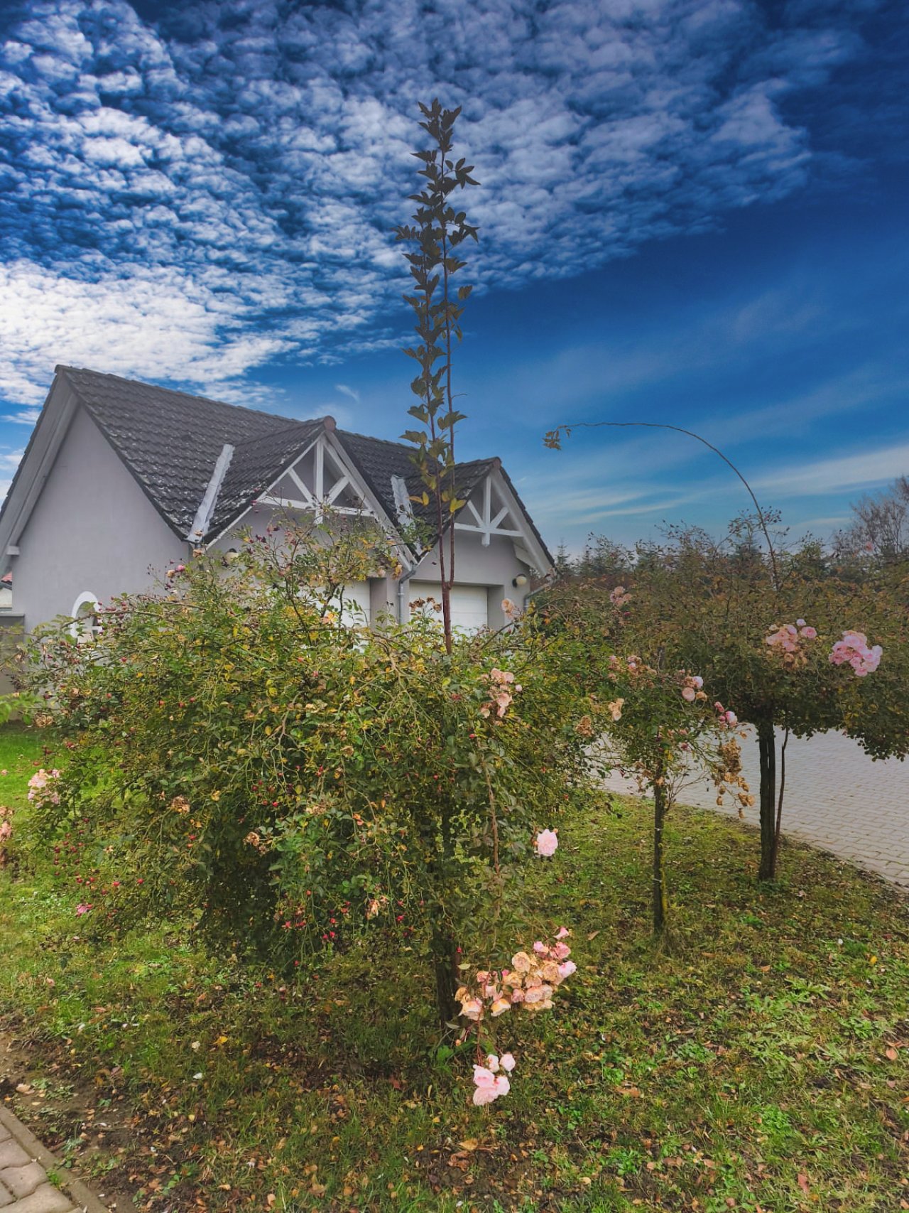 (AAA) Großes gepflegtes Familienhaus / Pension / Wohngemeinschaft (KK038)