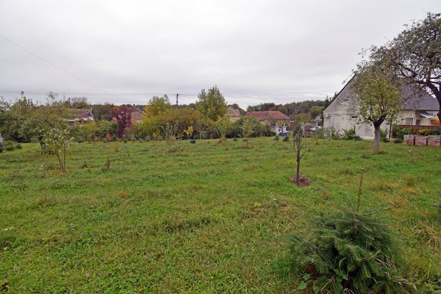 (BAA) Sehr schönes Landhaus & 2 Apartments Nähe Thermalbad (FER1811)