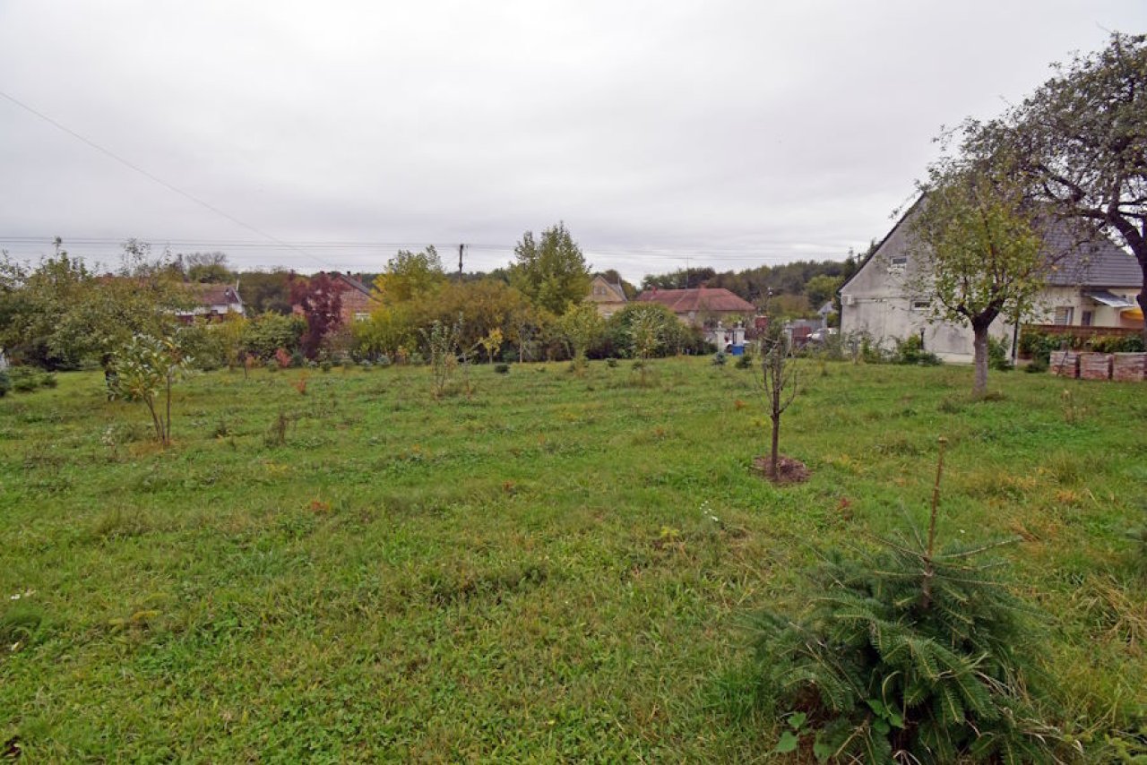 (BAA) Sehr schönes Landhaus &amp; 2 Apartments Nähe Thermalbad (FER1811)