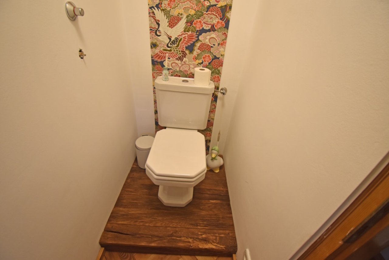 (BAA) Sehr schönes Landhaus &amp; 2 Apartments Nähe Thermalbad (FER1811)