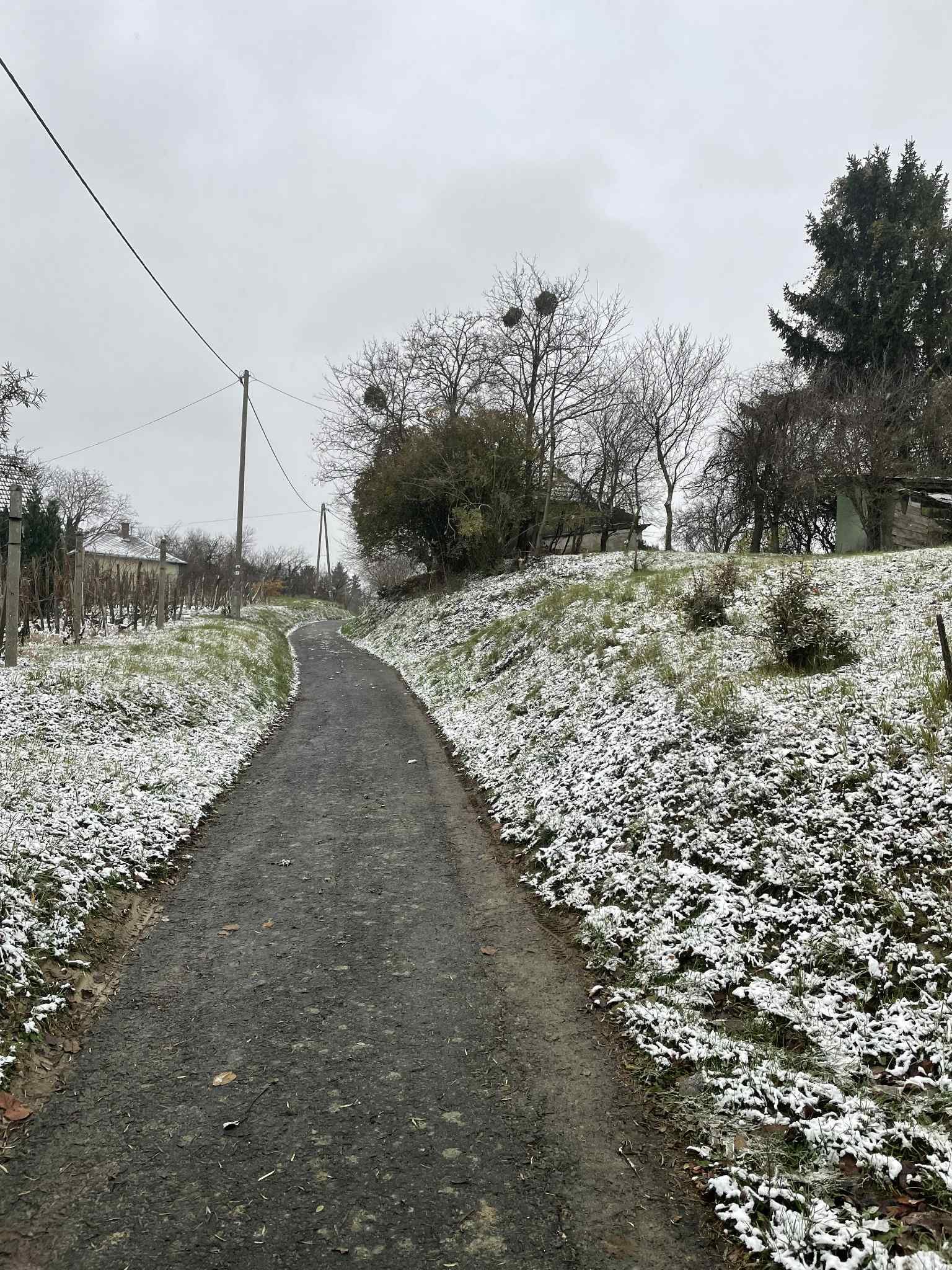 (ACA) Weinberg Pinze mit Panoramablick (FB5622)