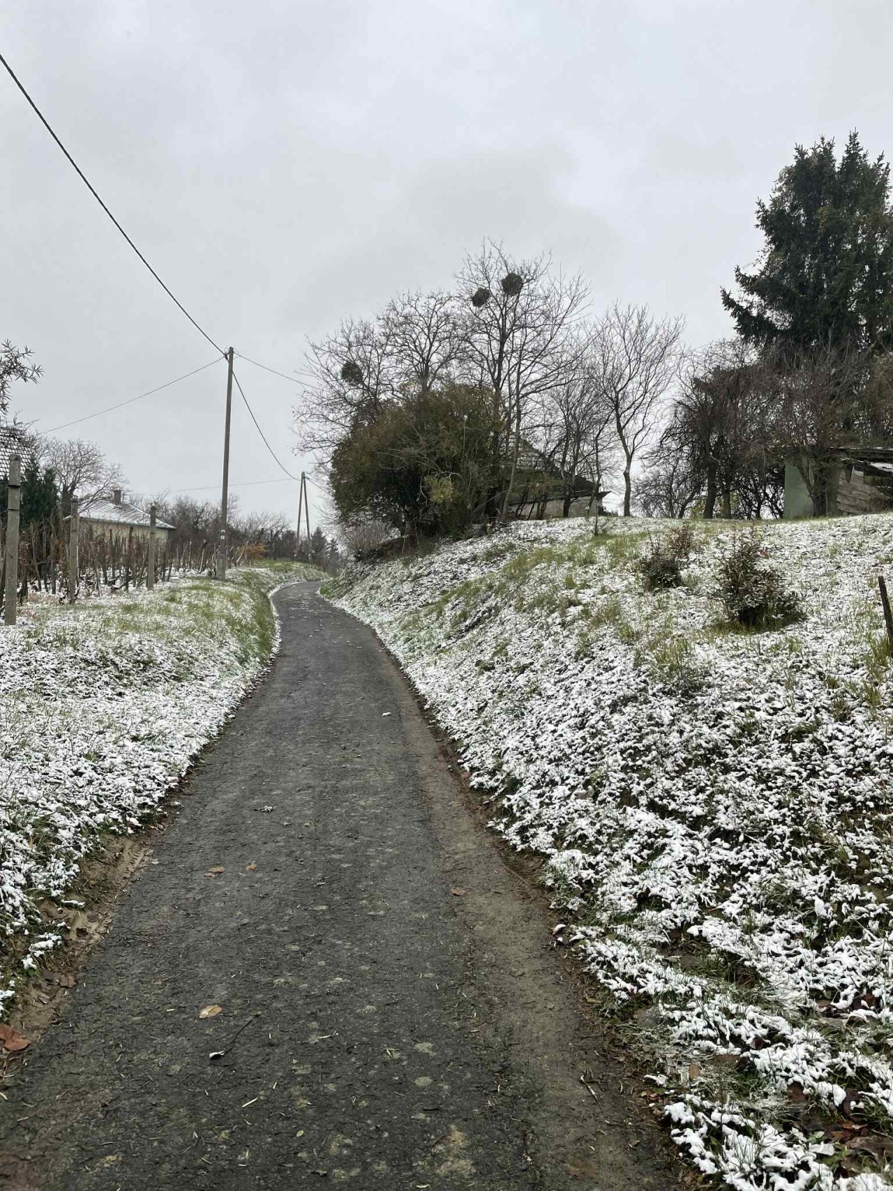 (ACA) Weinberg Pinze mit Panoramablick (FB5622)