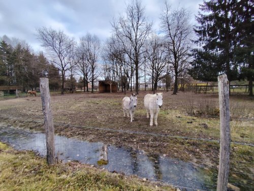 Reiterhof &amp; Tierhaltungsbetrieb (RV029)