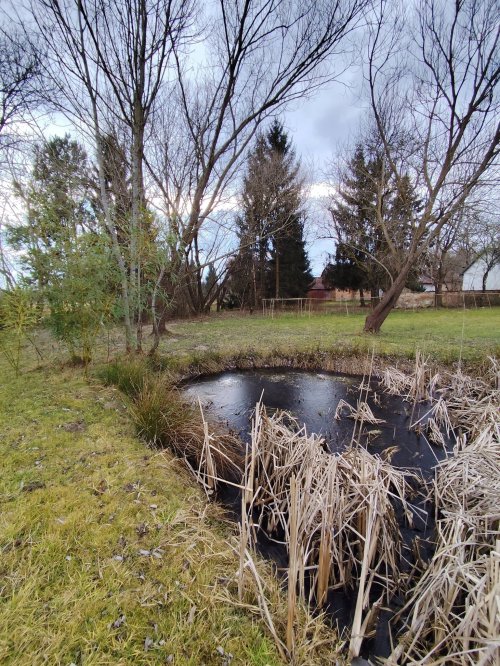 Reiterhof &amp; Tierhaltungsbetrieb (RV029)