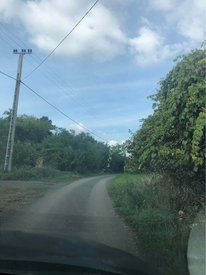 (B-A) Bebaubares, umzäuntes Grundstück in ruhiger Weinberglage (FB2513)