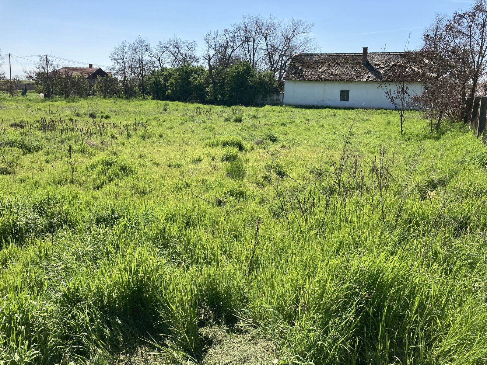 (A-A) Baugrundstück am Ortsrand, ruhige und sehr gepflegte Wohngegend