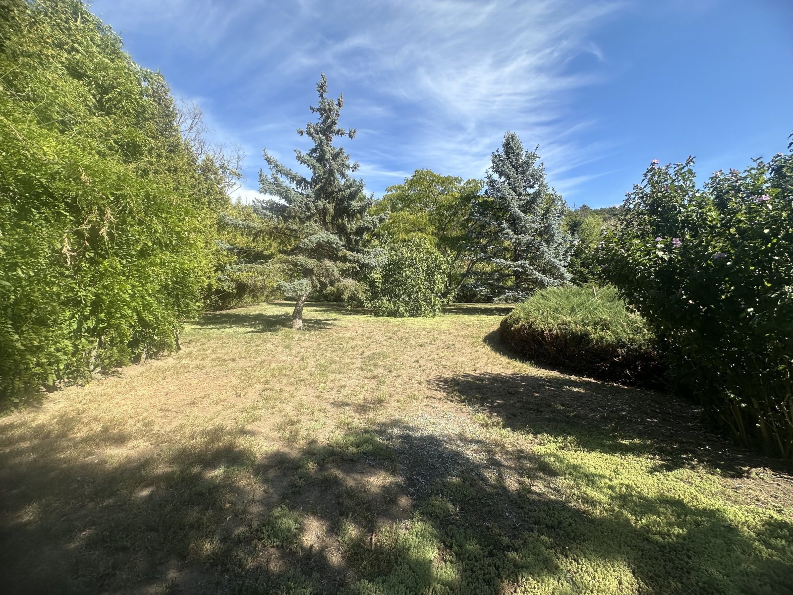 (AAA) Exklusives Investment in den Bergen von Badacsonytomaj (NYV6678)