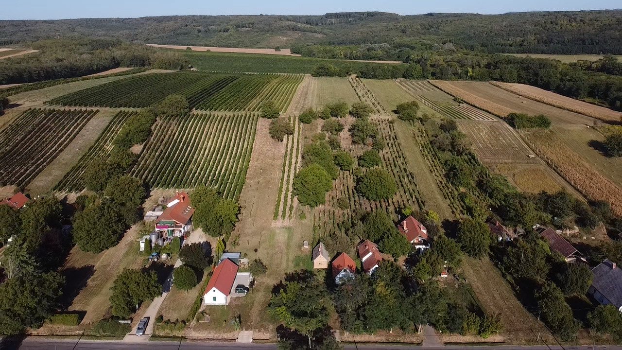 (AAA) Komplett renoviertes Weinberg-Landhaus Nähe Balaton