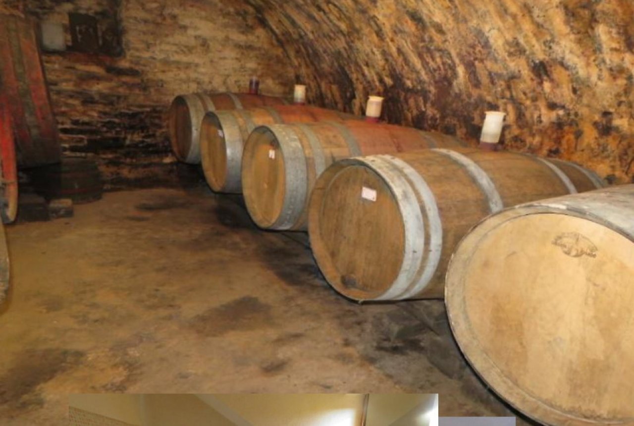 (AAA) Komplett renoviertes Weinberg-Landhaus Nähe Balaton (CM164-2)
