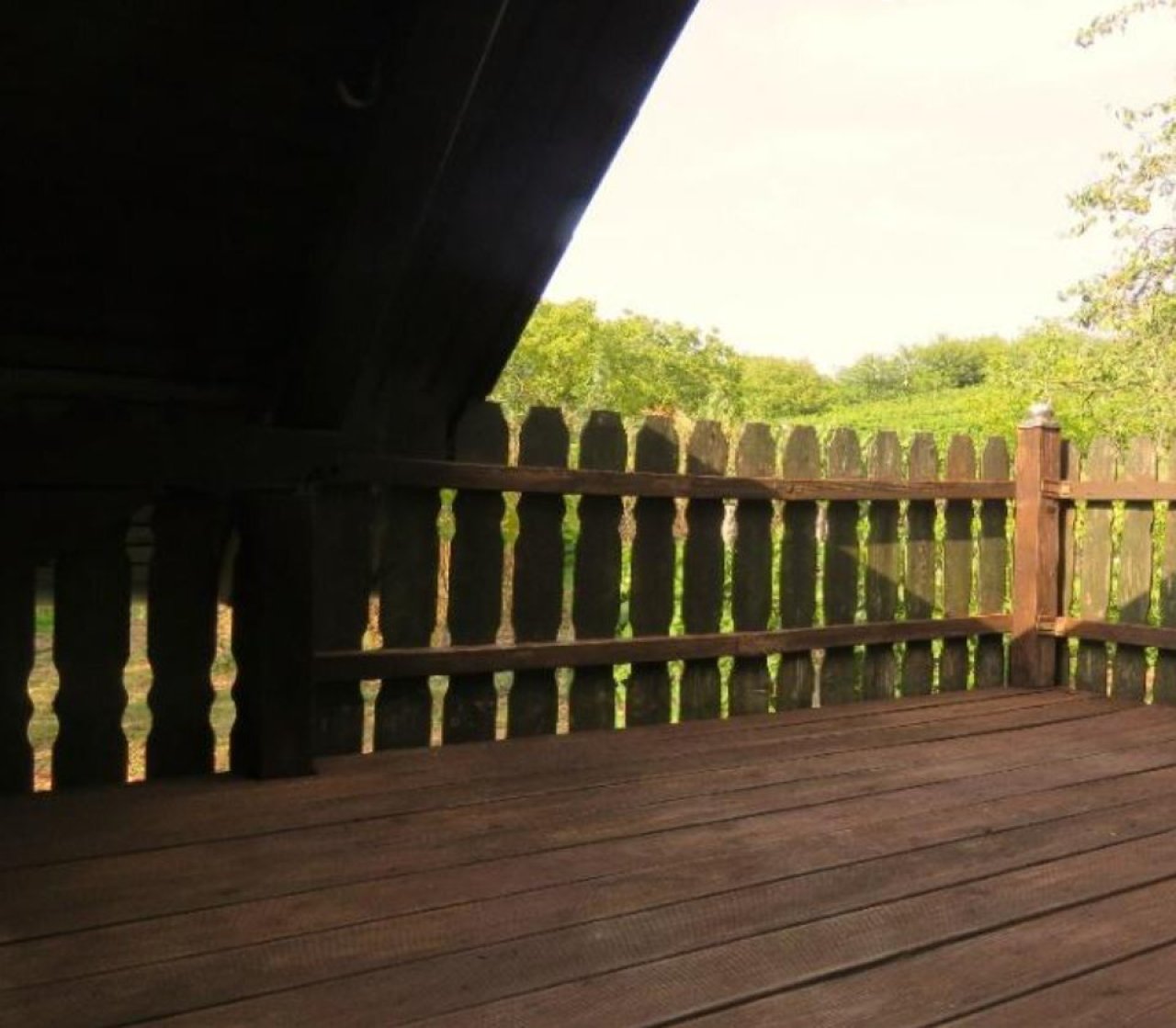 (AAA) Komplett renoviertes Weinberg-Landhaus Nähe Balaton (CM164-2)