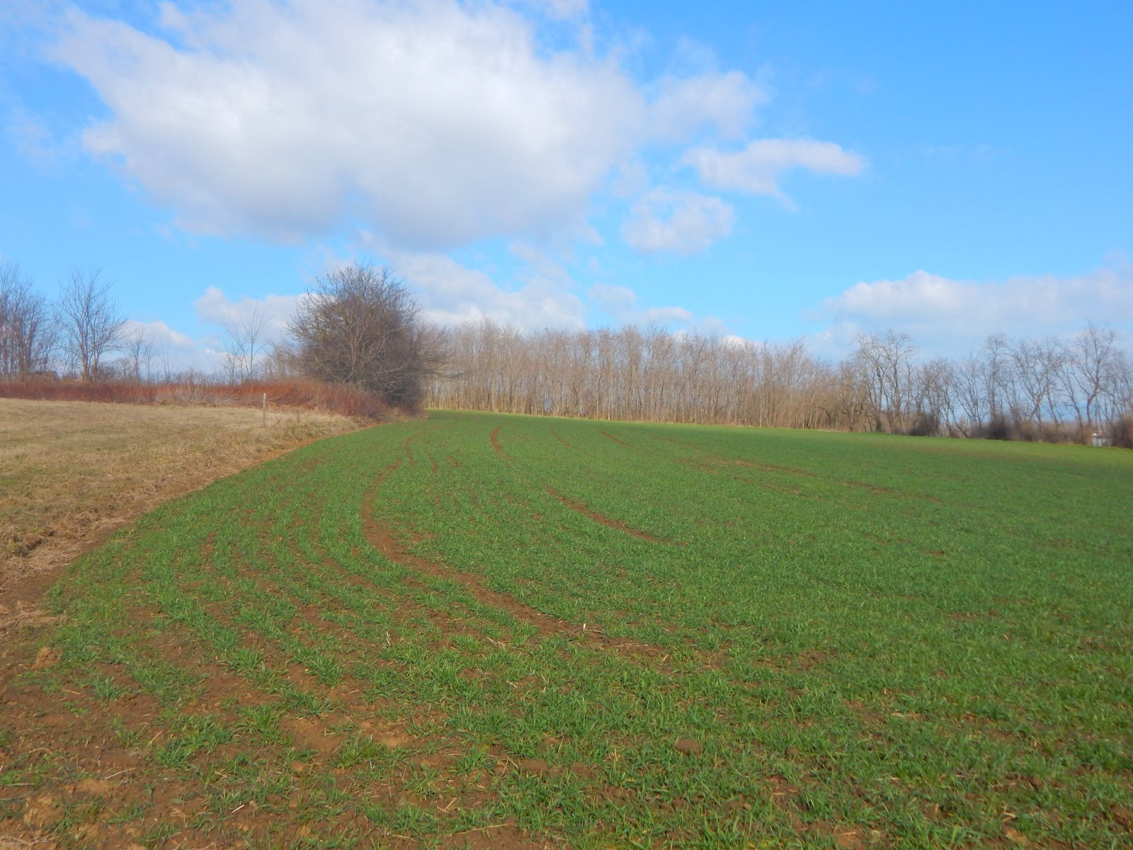 Grundstück in ruhiger und gut erreichbarer Lage (HGY9213)