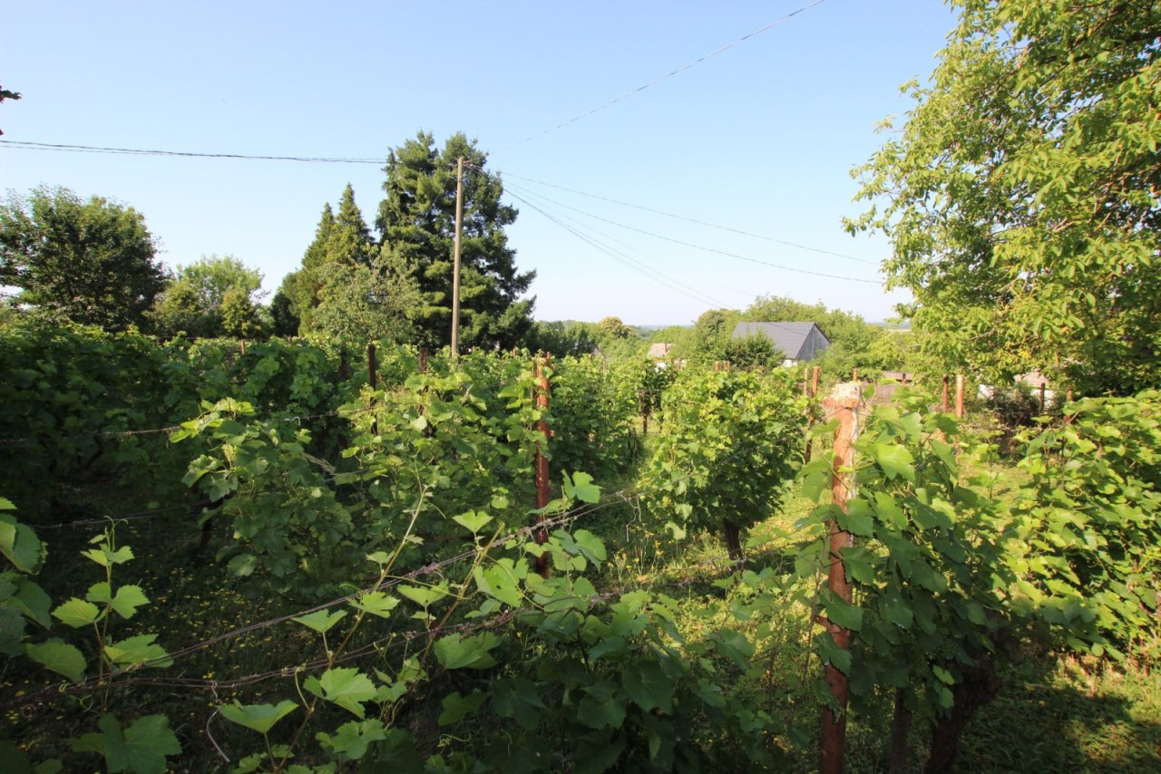(ACA) Renovierungsbedürftiges  Weinberghaus in einer tollen Lage Nähe Balaton (FB5563)
