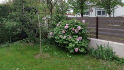 (AAA) Einfamilienhaus mit Pool in ruhiger Straße von Héviz (33395-2)