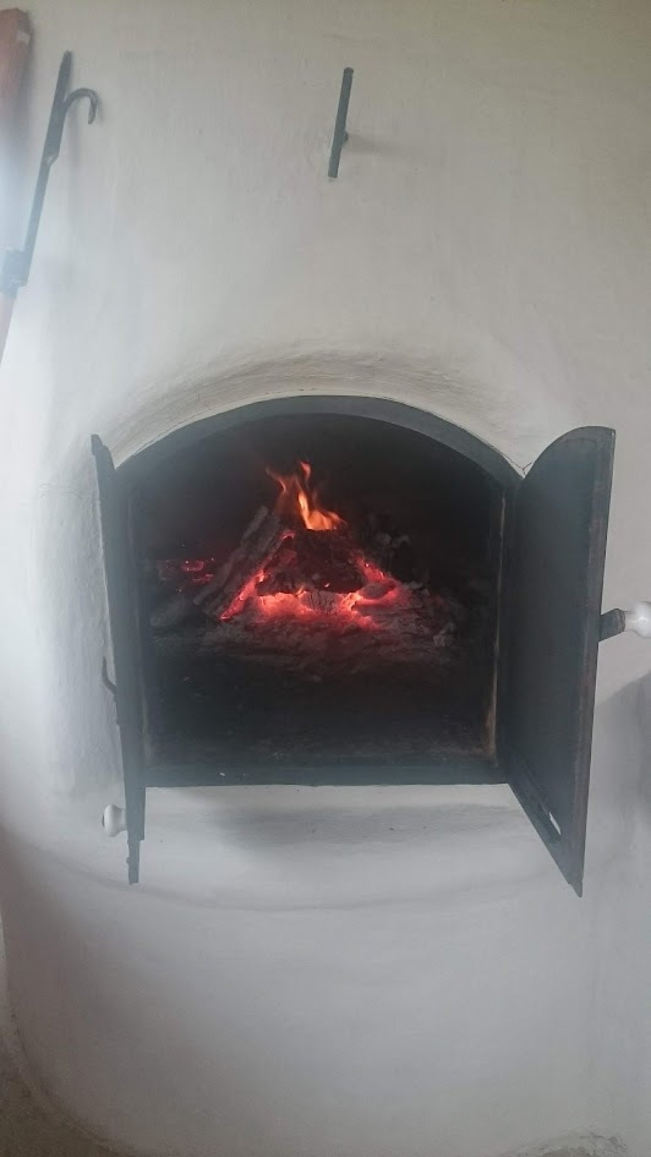 (ABA) Tanya für Tierhaltung inkl. 3 Studio-Apartments (FB0101)